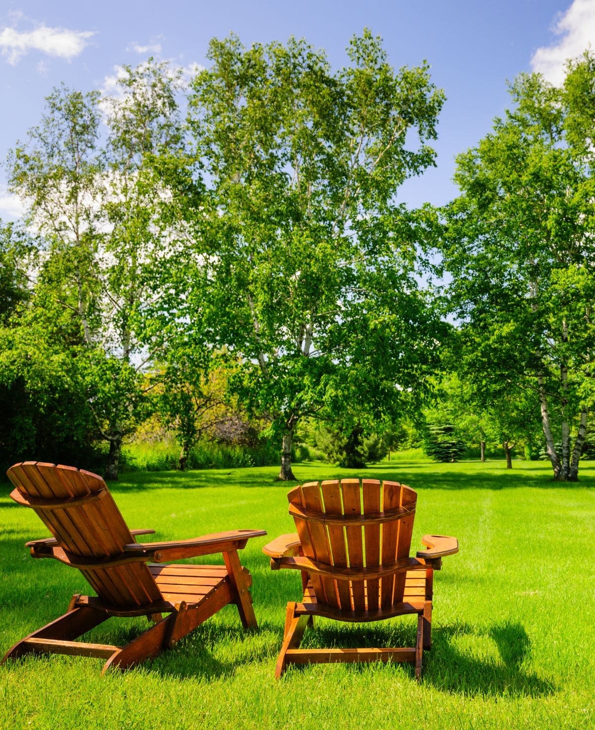 New Look Landscapes Calgary - Contact
